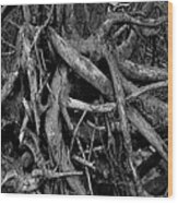 Scary Branches Wood Print