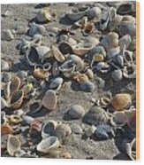 Seashells In The Sand Wood Print