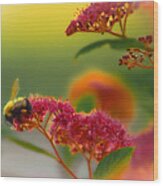 Sherbet Pollination Wood Print