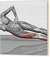 Side Plank Exercise Wood Print