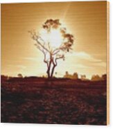 #silhouette #tree #nature #sun Wood Print