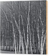Silver Trees Wood Print