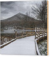 Snow Covered Pathway 3 Wood Print
