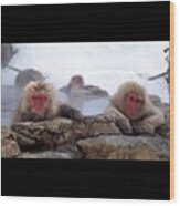 Snow Monkeys In Jigokudani Japan Wood Print