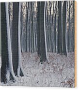 Snow On Trees In Bavarian Black Forest Wood Print