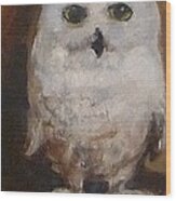 Snowy Owl Wood Print