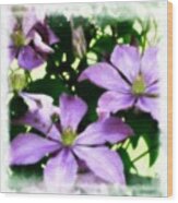 Soft Purple #flowers #color Wood Print