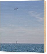Space Shuttle Flyover Wood Print