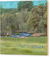 Spenceville Wildlife Area Wood Print