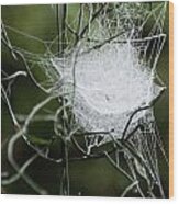 Spider Web Basket Wood Print