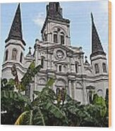 St Louis Cathedral Rising Above Palms Jackson Square New Orleans Fresco Digital Art Wood Print