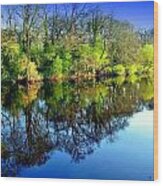 Suir Reflections Wood Print