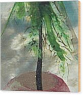 Summer In Blown Glass Tree In Pink Sand Wood Print