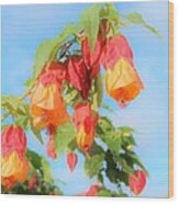 Sun Drenched Bell Flower Wood Print