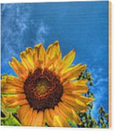 Sunflower Wood Print