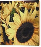 Sunflowers - Fl Wood Print