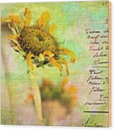 Sunflowers No 413a Wood Print