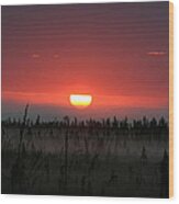 Sunrise At Kenai Peninsula Wood Print