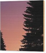 Sunset Between Two Evergreens Wood Print