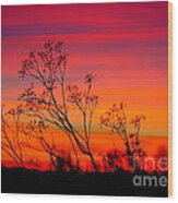 Sunset Silhouette Wood Print