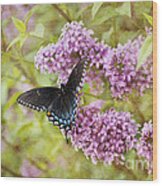 Swallowtail Butterfly On Lilac Wood Print