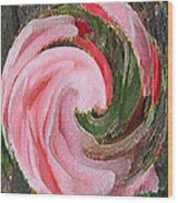 Swirling Pink Parrot Feather Fantasy Wood Print