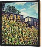 Tall Grasses By The Tracks Wood Print