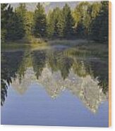 Teton Morning Reflections Wood Print