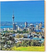 The Auckland Metropolitan Area ( Wood Print