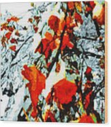 The Autumn Leaves And Winter Snow Wood Print