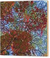 The Colors Of Autumn Wood Print