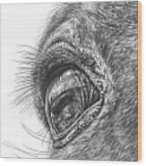 The Eyes Have It - Horse Portrait Closeup Print Wood Print