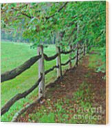 The Fence Path Wood Print