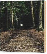 The Forest Tunnel Wood Print