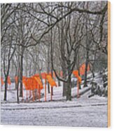 The Gates In A Blizzard 2 Wood Print
