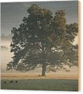 The Giving Tree Wood Print