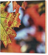 The Leaves Of Autumn Wood Print