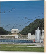 The World War Ii Memorial--geese Incoming Ds029 Wood Print