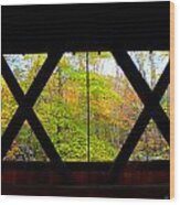 Thru The Xx Is Fall In New England Wood Print