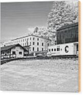 Train Depot Wood Print