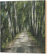 Tree Lined Road Abstract Wood Print
