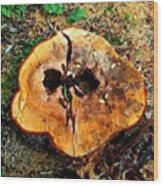 Tree Stump Wood Print