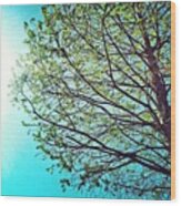 #tree #sun #beautiful #godsbeauty #ig Wood Print