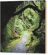 Tree Tunnel Wood Print