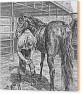 Trim And Fit - Farrier With Horse Art Print Wood Print