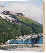 Trip To Glacier Bay Wood Print