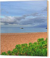 Tropical Ka'anapali Sunrise Wood Print