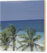 Tropical Paradise Sian Kaan Mexico Wood Print