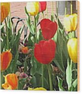 Tulips In The Sunshine Wood Print