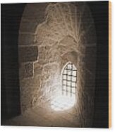 Tunneled Arch Window Wood Print